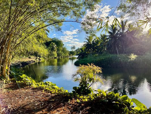 Good Morning Hawaii - Digital download