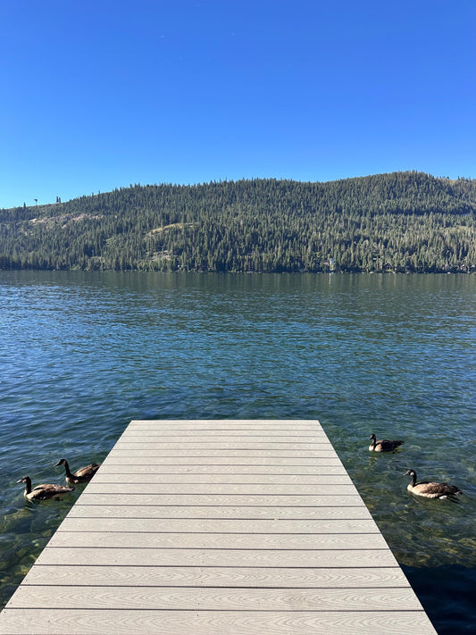 Sitting on the Dock - Digital download