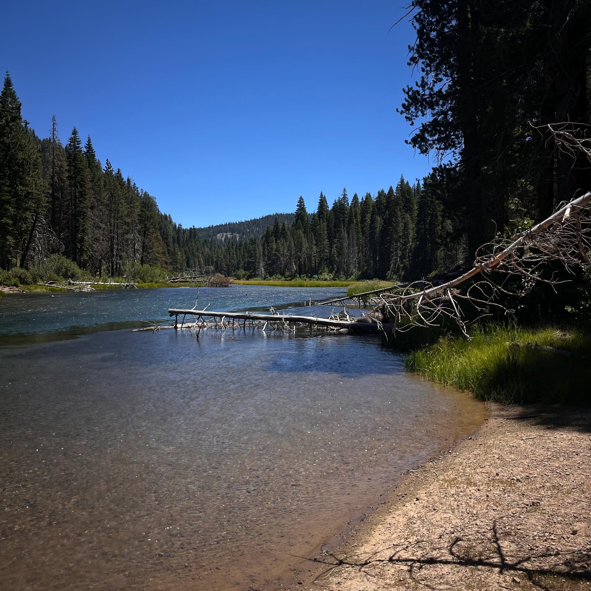 Truckee Summers - Digital download