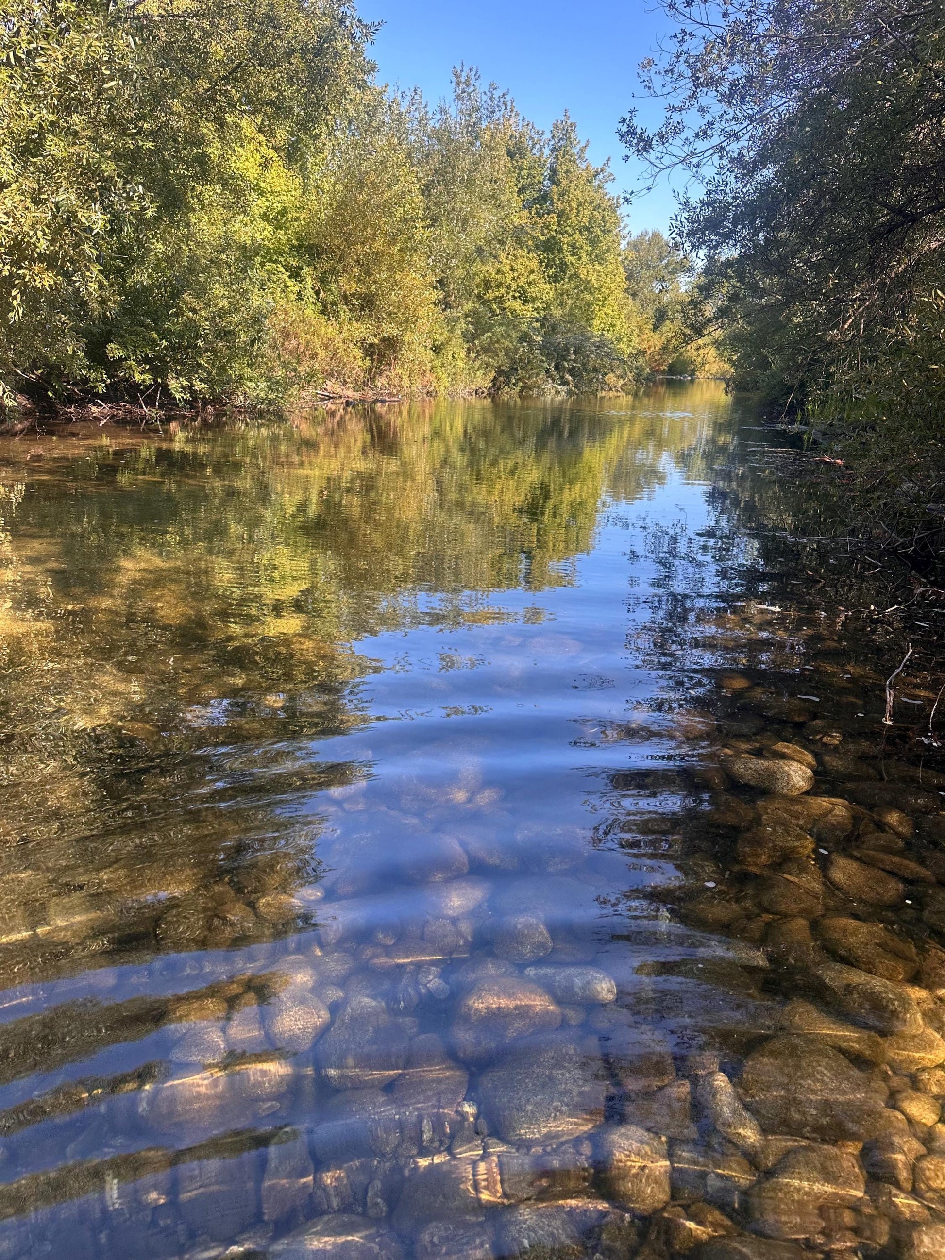 Silent Water - Digital download