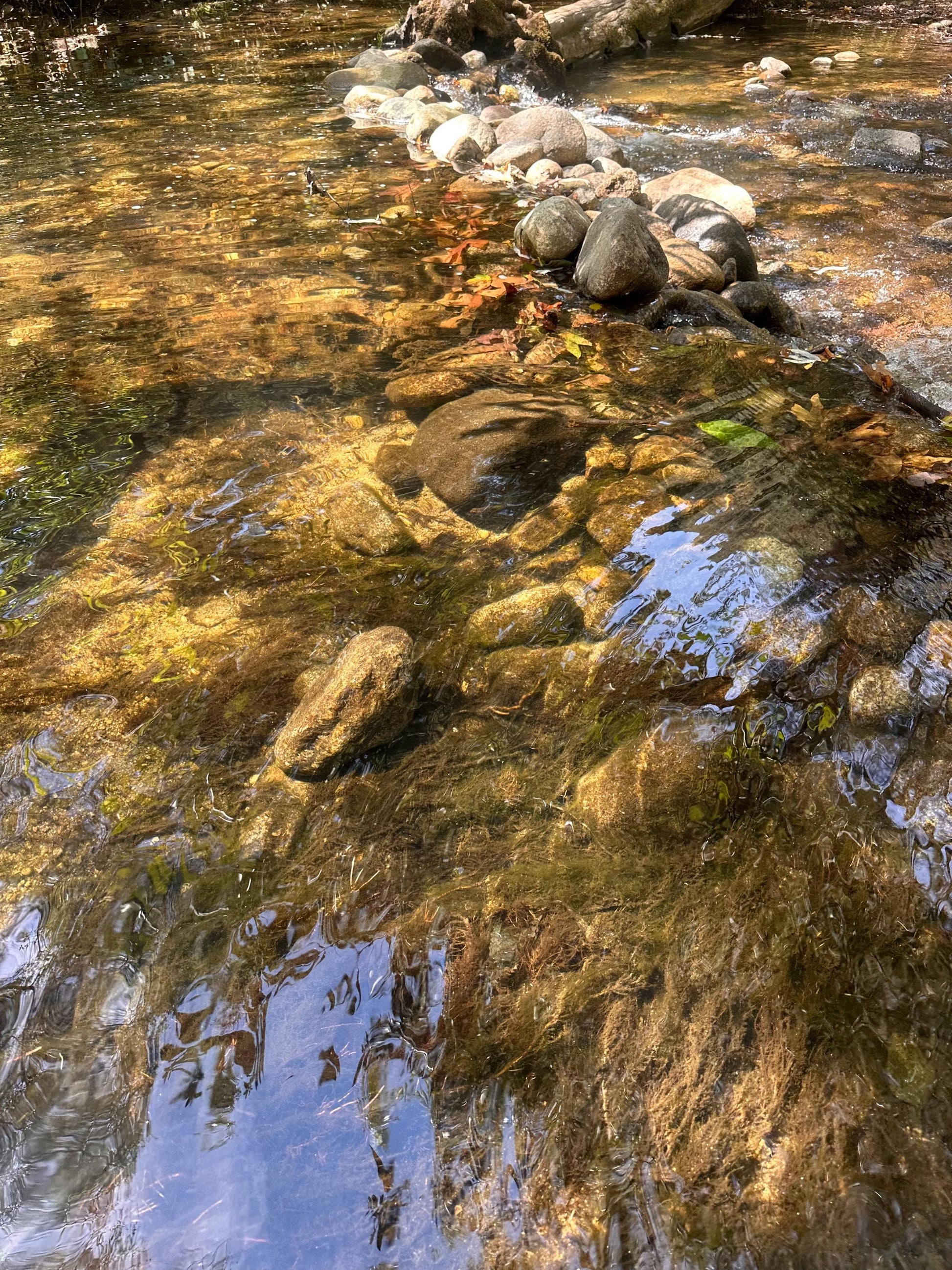 Glass and Stone - Digital download