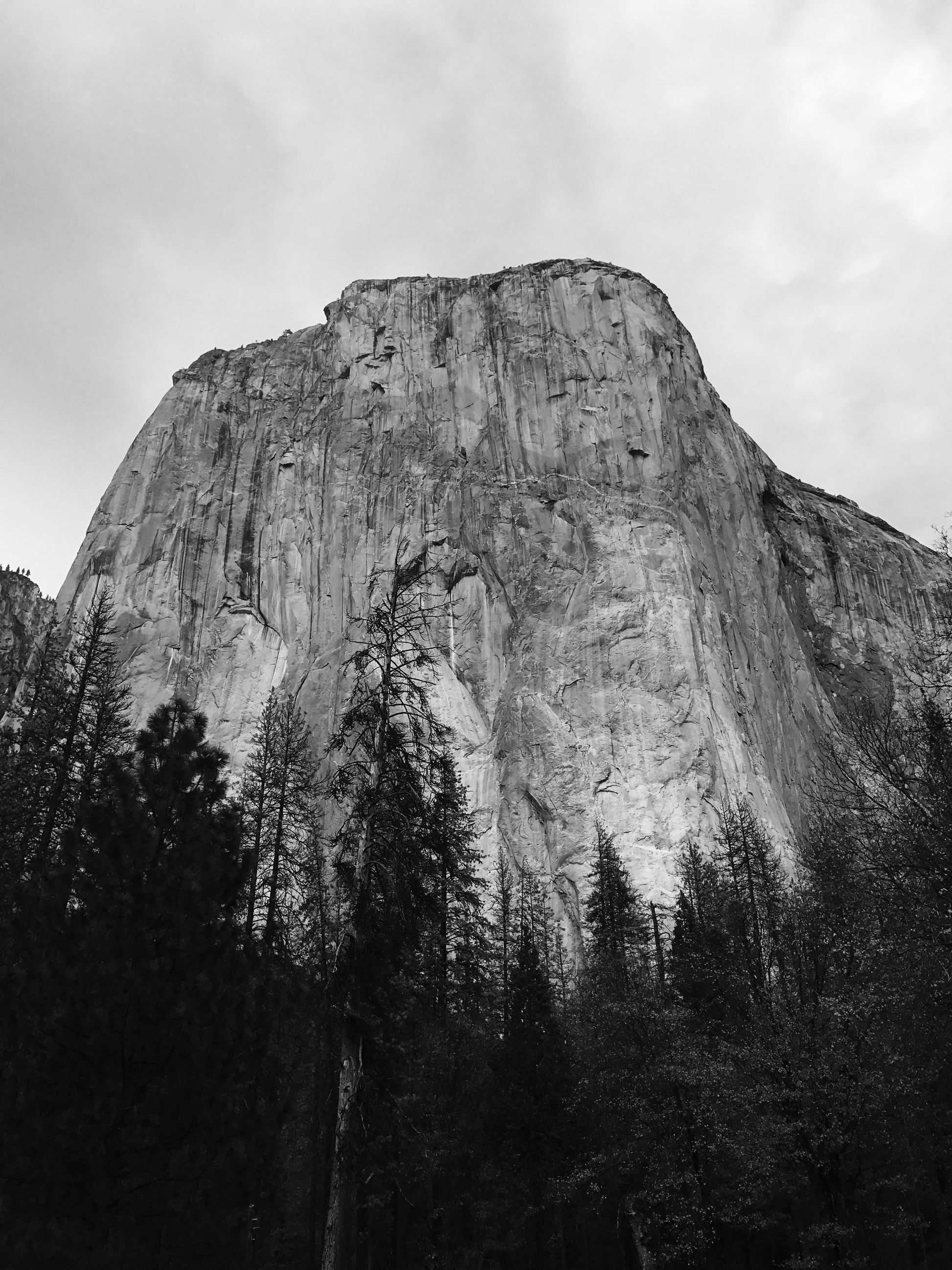 Yosemite - Digital download