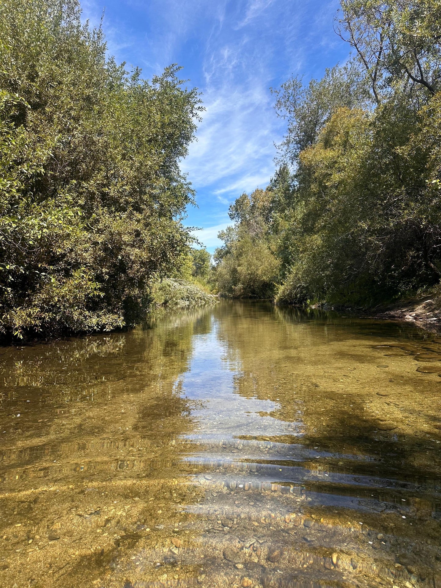Carmel River - Digital download