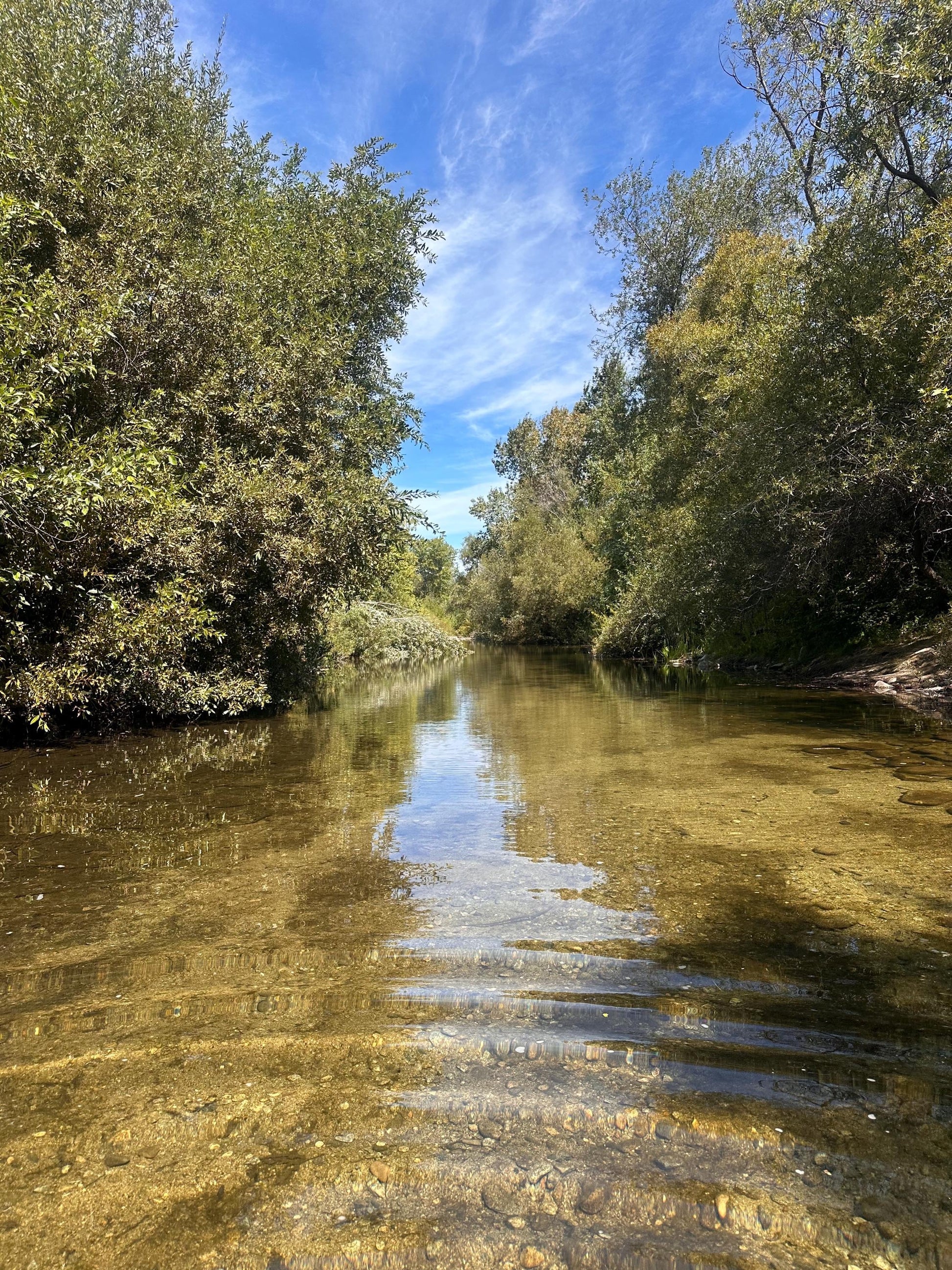 Carmel River - Digital download