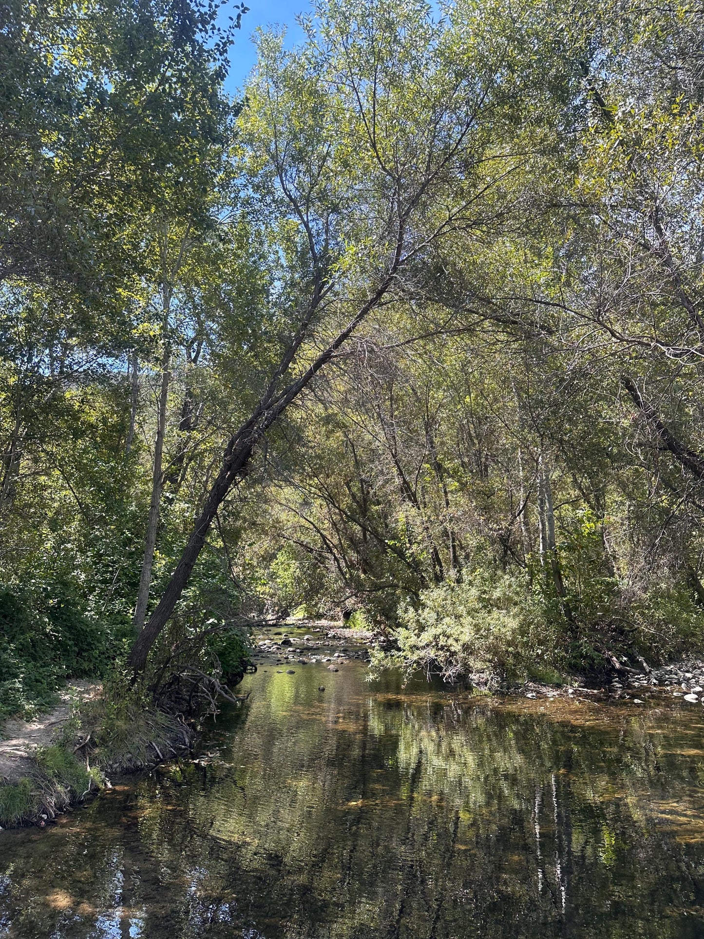 Valley Summer - Digital download